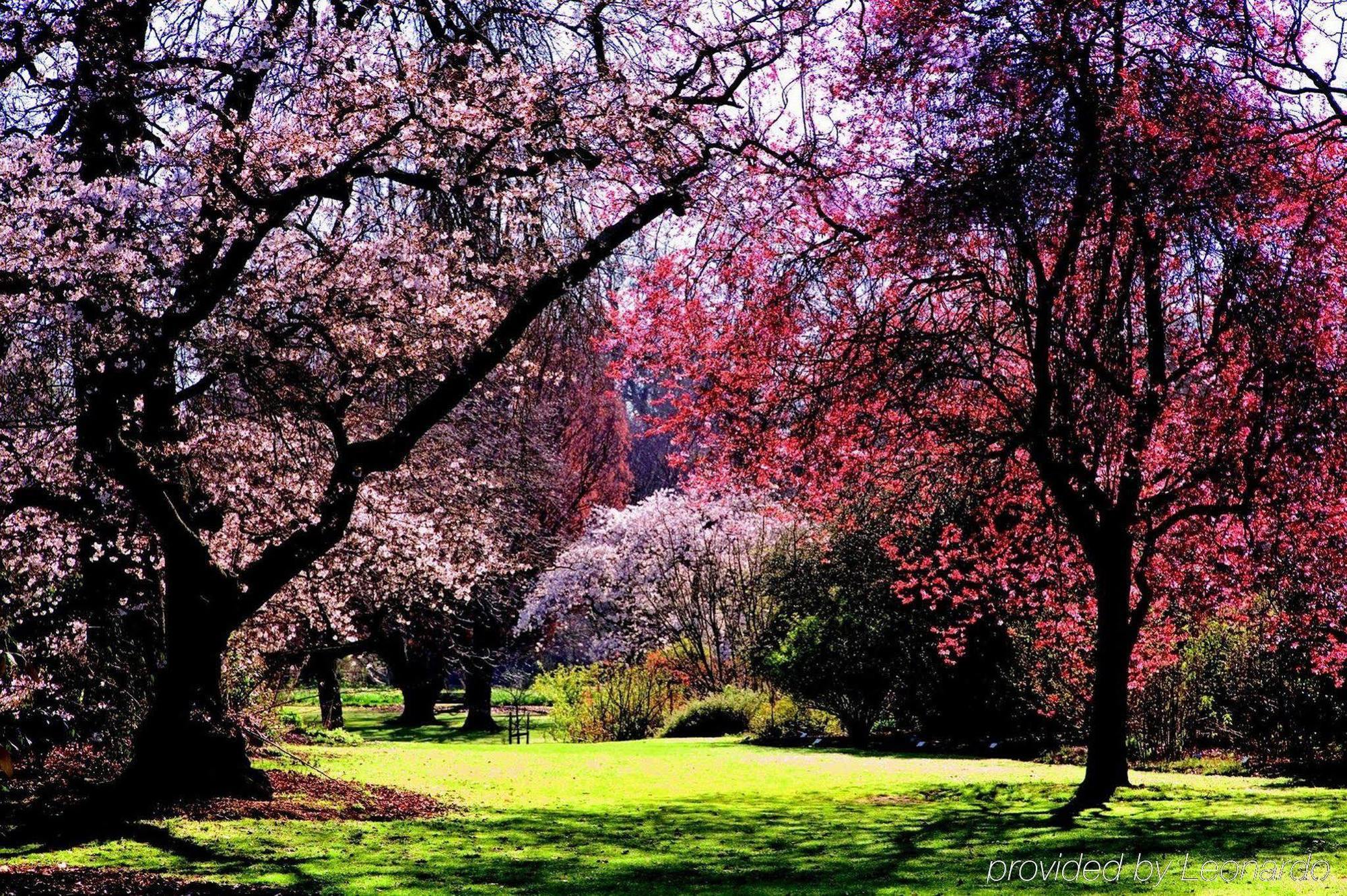 Parkview On Hagley Hotel Christchurch Luaran gambar