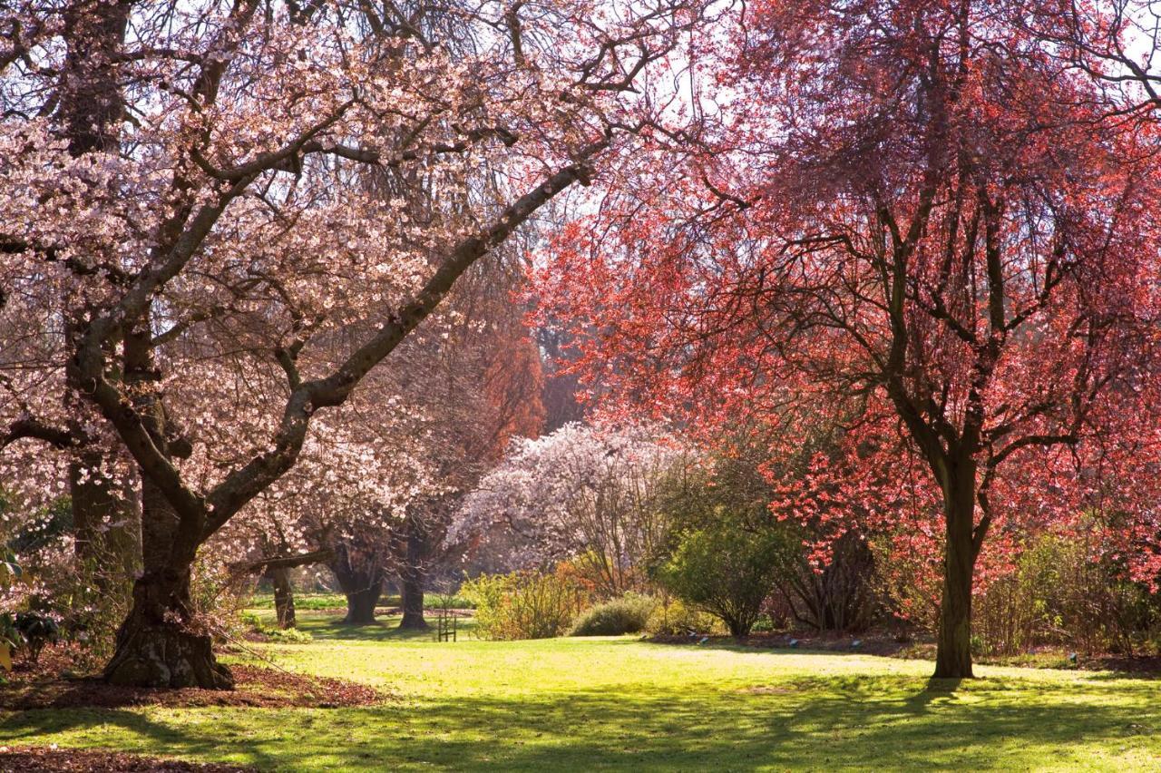 Parkview On Hagley Hotel Christchurch Luaran gambar